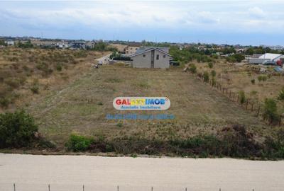 Teren 3000 m.p. Penny Mihailesti - 9