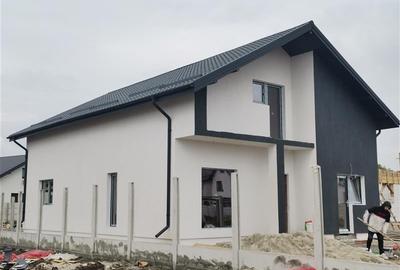 Pantelimon, Ferma animalelor, viluta P+M,2025 - 3