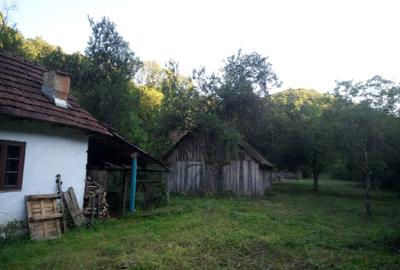 Casă cu 3 camere în Hălmagiu - 3