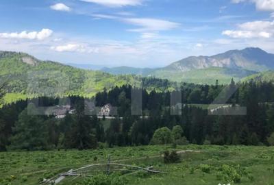 Teren de 10000 mp, în Central - 10