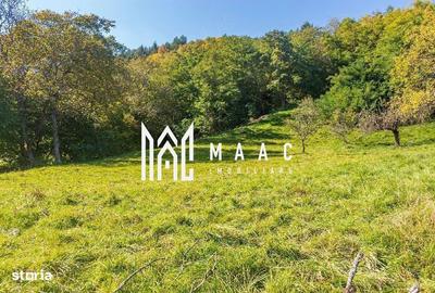 Spațiu comercial, în Paltin - 4