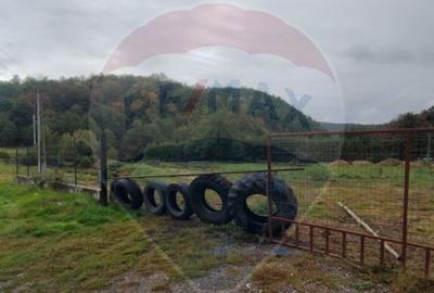 Teren intravilan 12.95 mp Tacasele - la soseaua principala - 2