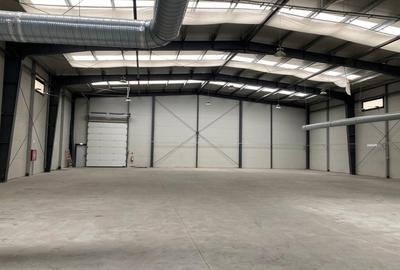 Spatiu de depozitare si productie Soseaua de centura  Mogosoaia - 3