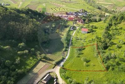 EXCLUSIVITATE! Teren 2339 mp in Barsana - Comision 0%! - 5