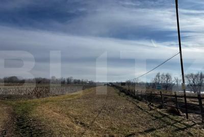 Teren în Vințu de Jos - 7