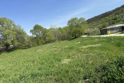 Spațiu comercial, în Leamna de Sus - 2