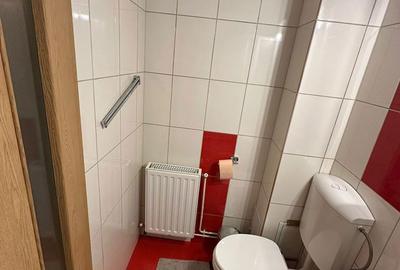 Garsonieră în Vasile Aaron - 10