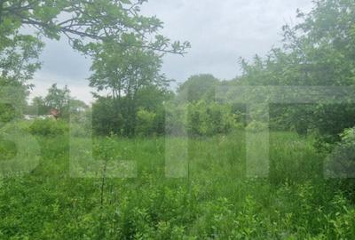 Teren intravilan, 4230 mp, Baicoi - 5