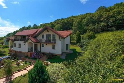 Refined ensemble, elite natural setting, 5 km from Corvin Castle. - 7