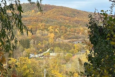 Teren de 1050 mp, în Păușești - 7