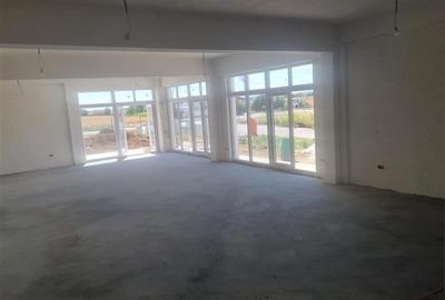 Spatiu comecial de inchiriat Com. Berceni - 14