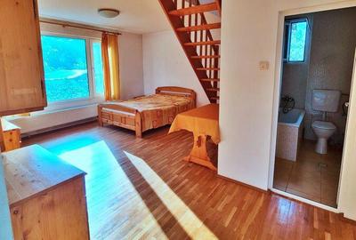 Buftea Centru Teren 1807 mp + 2 case Direct propr... - 2