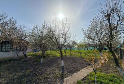 Casă cu 4 camere în Țuțora - 2