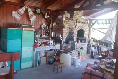 Zona Dumbravei, casa 10ari teren - 1