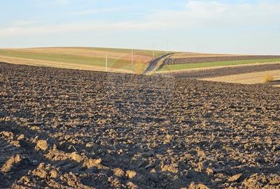 Teren agricol extravilan de 30077 mp, în Stroiești - 10