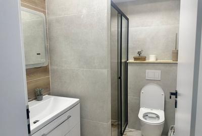 Apartament cu 3 camere decomandat în Viforâta - 3