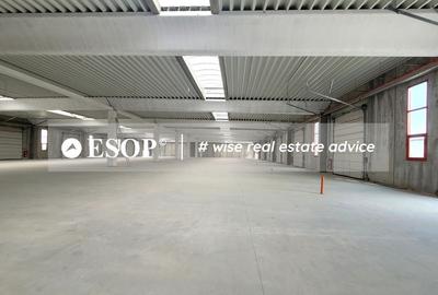 Hale industriale, parc modern, Rudeni, Chitila, Ilfov- ID 15462 Hale industriale, parc modern, Rudeni, Chitila, Ilfov- ID 15462 - 26