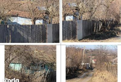Casă cu 2 camere cu Teren 2602 Mp în Dumești - 3
