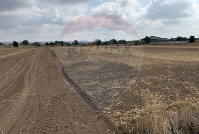 Teren Construcții intravilan de 400 mp, în Ișalnița - 3