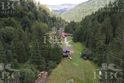 Teren cu constructii cu deschidere la lacul Dragan - 4