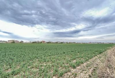 Spațiu comercial, în Vest - 2