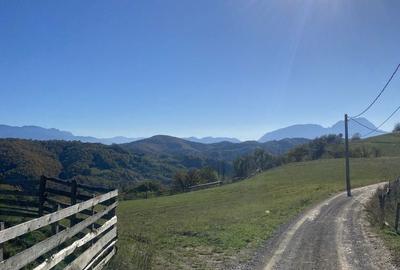 Spațiu comercial, în Central - 8