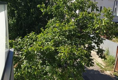 3 Camere / 1 Min British School / Mobilat Utilat - 20