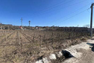 Teren intravilan de 2700 mp, în Movilița - 1