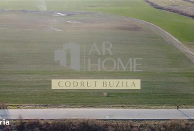 Teren de 2500 mp, în Bucov - 2