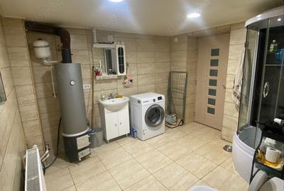 Casă cu 2 camere în Pestișu Mic - 10