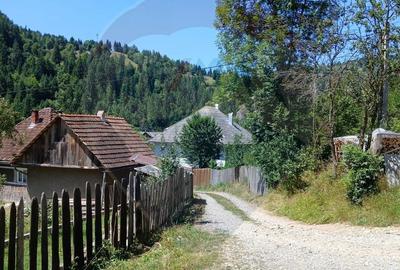 Teren de 1349 mp, în Tolstoi - 3