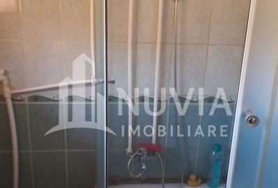 Casă cu 5 camere cu Teren 1035 Mp în Întregalde - 10