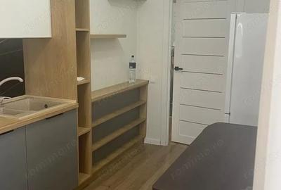 Apartament cu 2 camere de inchiriat in zona ?agului - 4