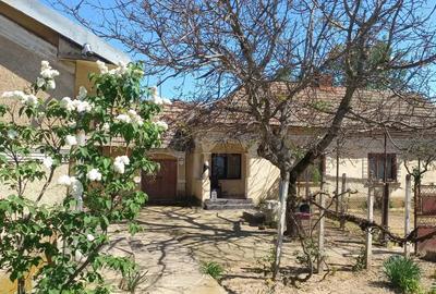 Vand casa+anexe+ garaj , ianca olt - 3