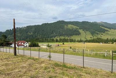 Casă cu Teren 7000 Mp în Central - 3