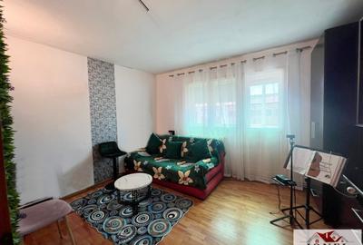 Apartament cu 2 camere semidecomandat în Cetate - 2