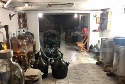 Casă individuală cu 13 camere cu Canalizare în Mofleni - 13