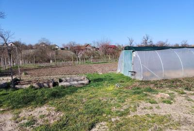 Casă cu 3 camere în Ianova - 4