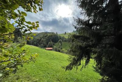 Teren de 4600 mp, în Șimon - 7