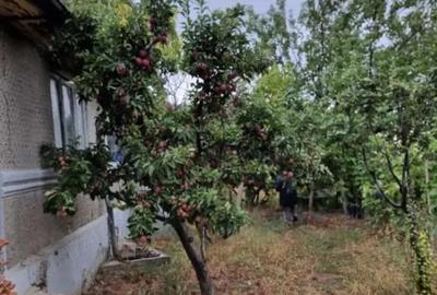 Casă cu 4 camere cu Teren 2700 Mp în Năeni - 5