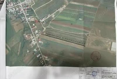 Teren de 1600 mp, în Dragomirești-Vale - 10