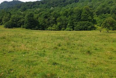 Oportunitate! -teren în zona  Pârâul Rece, Brașov - 5