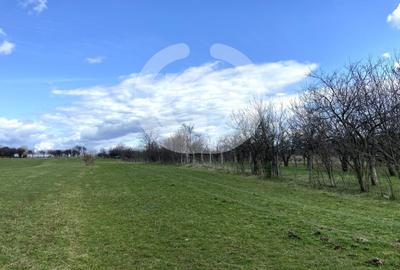 Teren agricol extravilan de 1494 mp, în Rășinari - 4