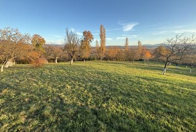 Teren de vanzare Unguras - 9