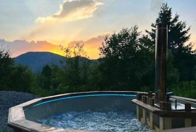 Cabana de vanzare o oaza de liniste in Muntii Apuseni Valea Ierii - 2