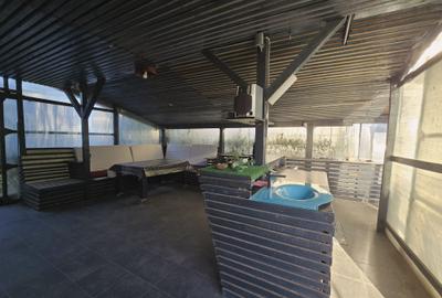 Vila mobilata si utilata- 5 camere -foisor -pod- statie dedurizare - 4