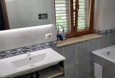 Casă cu 4 camere în Dumbrăvița - 5