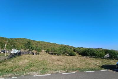 Spațiu comercial, în Central