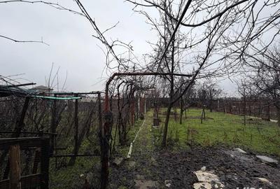 Casă în Bariera Vâlcii - 5