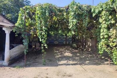 Casa batraneasca 5 camere, Loc. Rosiori , jud. Mehedinti Casa batraneasca 5 camere, Loc. Rosiori , jud. Mehedinti - 5